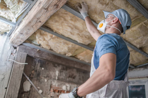 Best Wall Insulation Contractor  in Belmont, VA