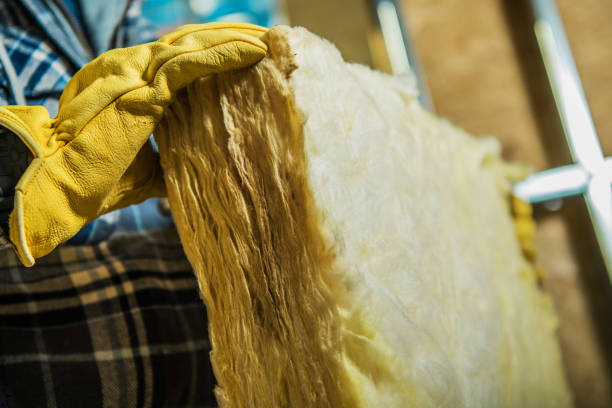 Best Blown-in Insulation  in Belmont, VA
