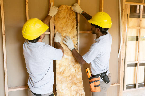 Best Insulation Inspection Services  in Belmont, VA