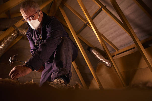Insulation Inspection Services in Belmont, VA