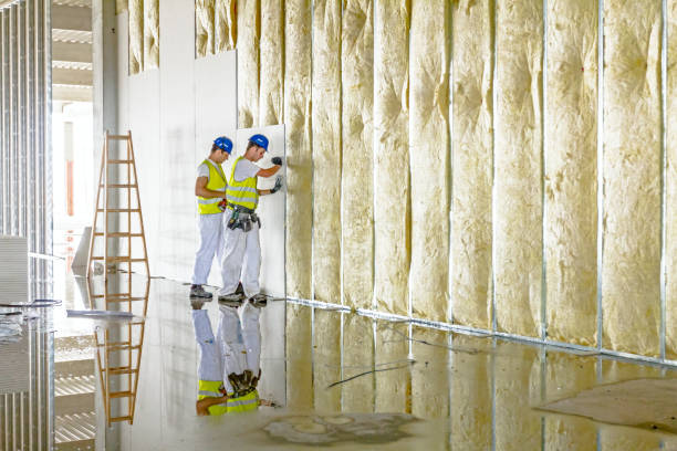 Best Insulation Contractors for Homes  in Belmont, VA